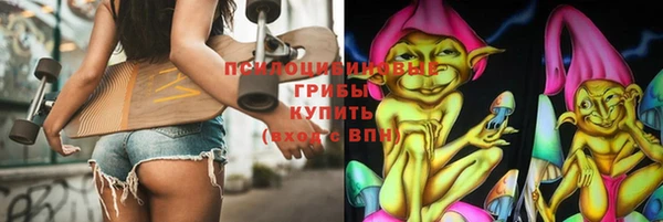ECSTASY Алзамай
