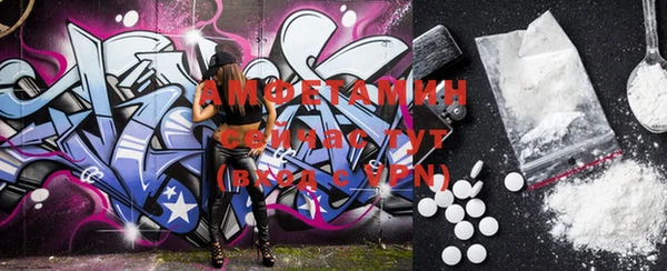ECSTASY Алзамай