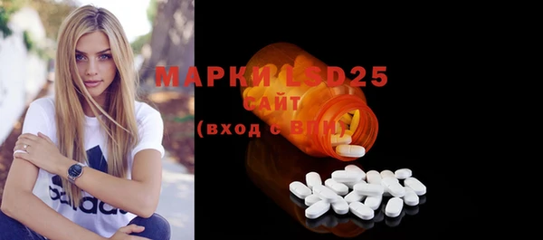 ECSTASY Алзамай