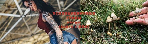крисы Алексеевка