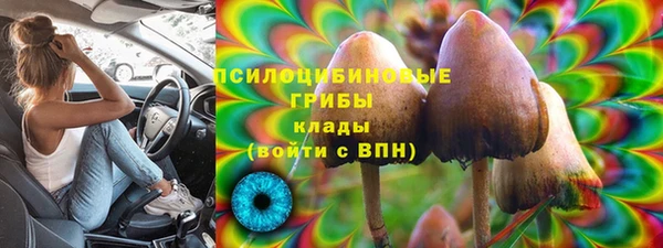 ECSTASY Алзамай