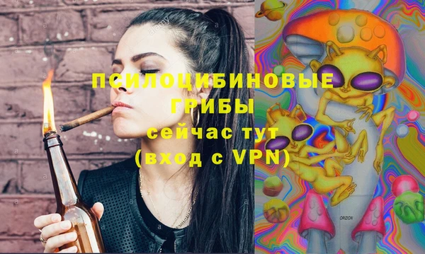 ПСИЛОЦИБИНОВЫЕ ГРИБЫ Алексин