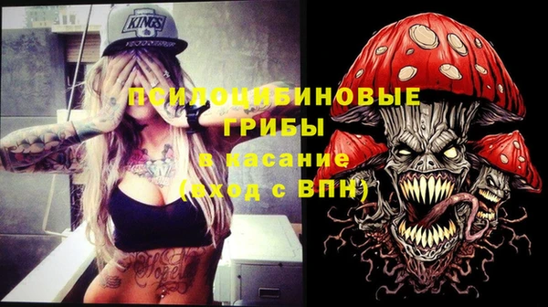 ECSTASY Алзамай